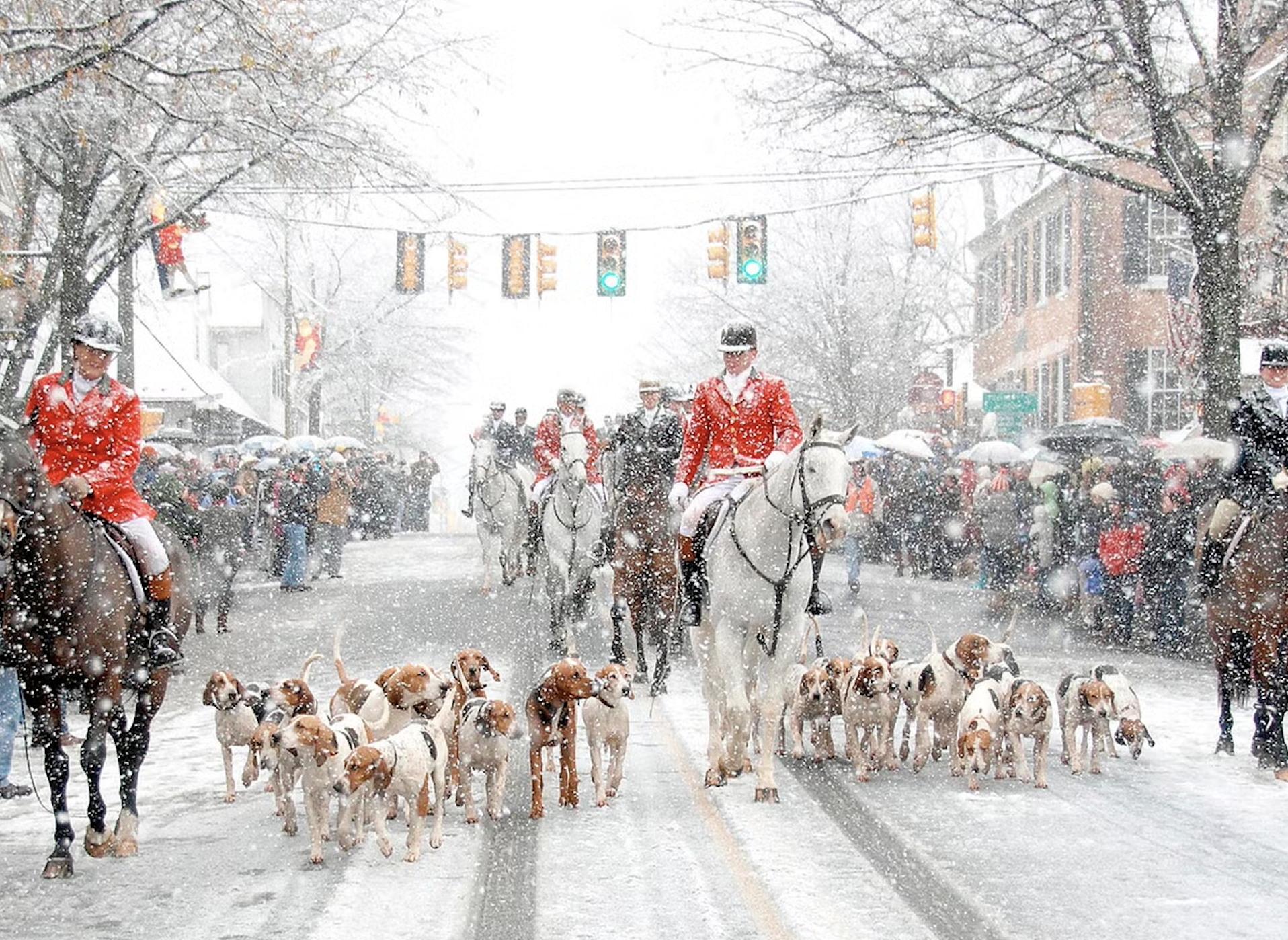 Middleburg Virginia Christmas Parade